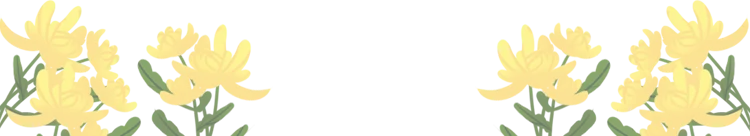 006.png 006.png